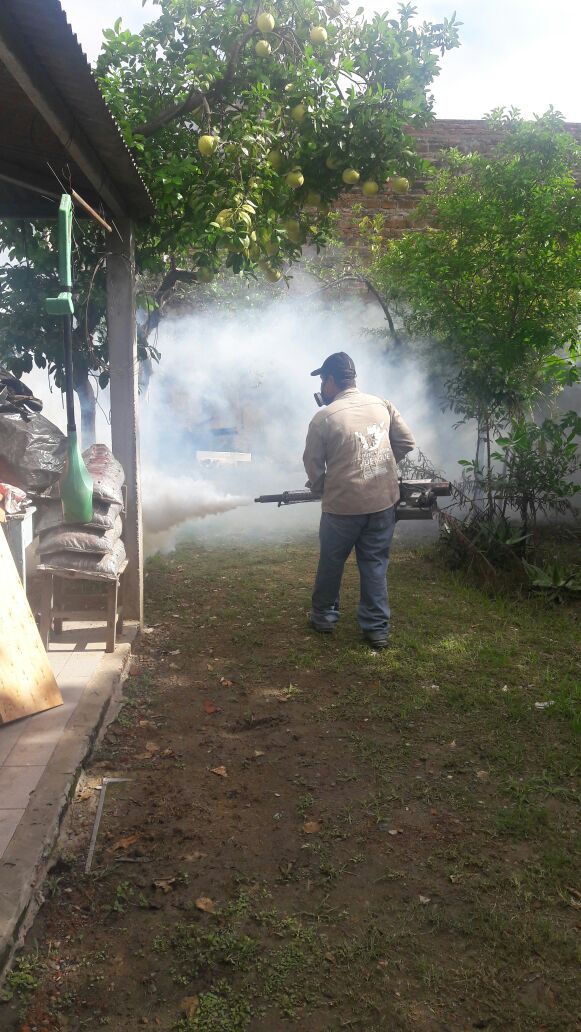 dengue(7)