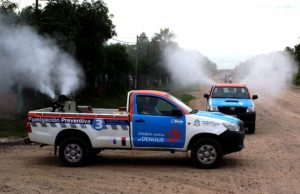 Dengue: Trabajos de prevención en todo el interior