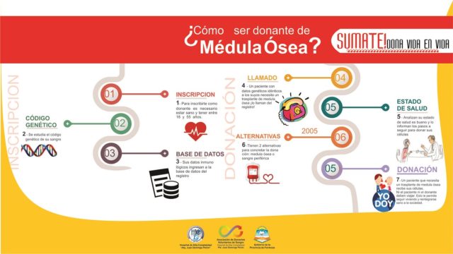 DONACION DE MEDULA OSEA FONDO