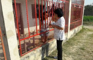 Médicos y equipos de salud visitan a familias en sus casas