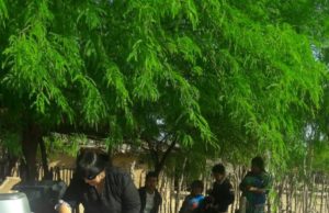 Equipo de salud casa por casa