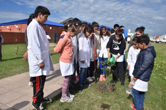 dia forestal mundial