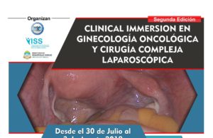 Curso en Cirugías Laparoscópicas Ginecológicas de difícil resolución