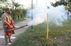 Fuerte tareas de prevención contra el aedes en los barrios