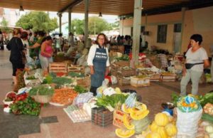 Ferias especiales del Paippa por Navidad y Año Nuevo