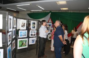 Muestra de la “Italiana”