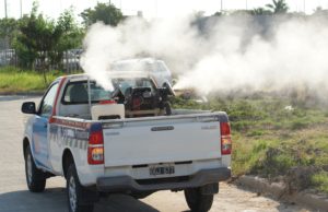 Nueva semana de trabajos contra el vector del dengue