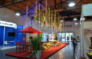 Frutar 2019, la feria que te espera para exponer tus productos