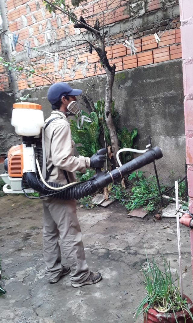 Amplias acciones contra el aedes en capital - Miercoles 1501 (2)