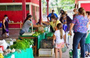 Otra exitosa jornada de feria paippera en el barrio La Paz