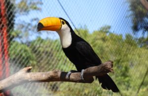 Reserva Guaycolec, una de las opciones para visitar en estas vacaciones