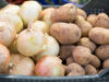 Con primicias de papas formoseñas, se realizan este viernes las ferias paipperas